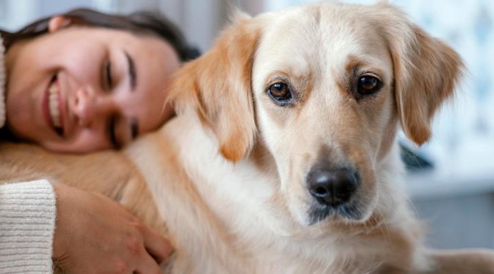 IMUNIDADE EM ALTA: Pets, música, meditação e outros 7 cuidados diários ajudam a reforçar sistema de defesa do corpo; entenda